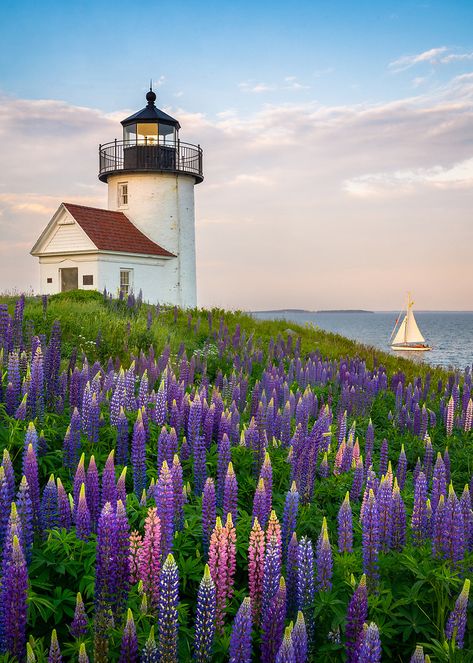 Love, Maine | Coast of Maine Photography by Benjamin Williamson Maine Photography, New England States, Lighthouse Pictures, Maine Coast, Beautiful Lighthouse, Traditional Landscape, Landscape Photographers, Featured Artist, Fine Art America