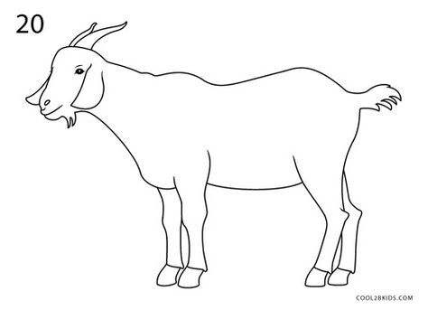 How to Draw a Goat (Step by Step Pictures) | Cool2bKids Goat Sketch Drawings, Goat Pictures Art, How To Draw A Goat, Domestic Animals Drawing, Goat Drawing Sketch, Goat Drawing Easy, Picture Of Goat, Cute Goat Drawing, Draw A Goat