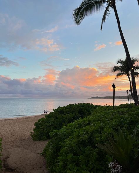 Hawaii sunrise 🍨🥥🪽✨ Sunset In Hawaii, East West, Literally Me, Dream Life, Beautiful Nature, Hawaii, Quick Saves, Instagram, Nature