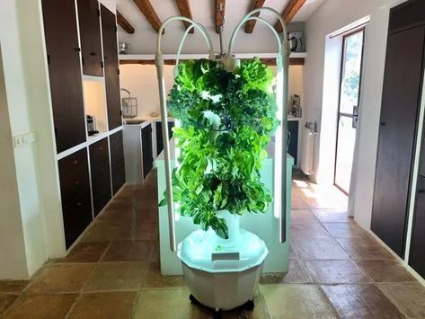 Tower Garden UK | Tower Farm United Kingdom | Aeroponics | Agrotonomy Tower Farms Aeroponic Gardening, Aeroponic System, Farming System, Seed Kit, Growing Greens, Grow System, Vertical Farming, Raw Foods, Tower Garden