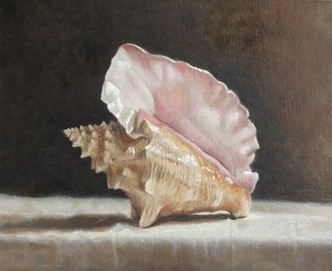 Conch Shell, Oil on canvas, 2016. Shell Drawing, Seashell Painting, Still Life Oil Painting, Still Life Art, Conch Shell, Ethereal Art, Classical Art, Still Life Painting, Aphrodite