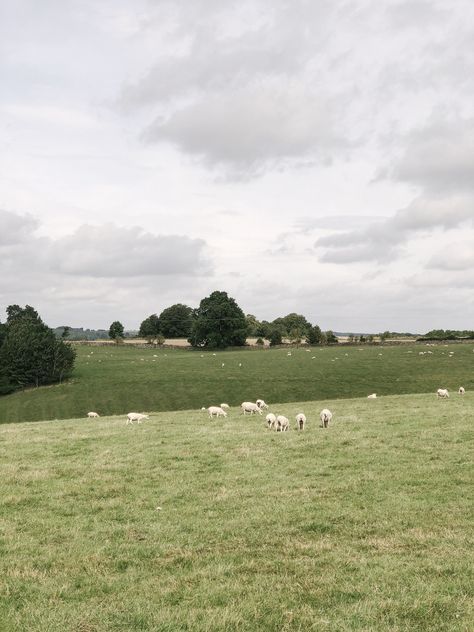 Quintessential English country side English Countryside Aesthetic, Countryside Scenery, Visualization Meditation, England Aesthetic, British Country, Small Town Life, North Country, Landscape Photography Nature, British Countryside