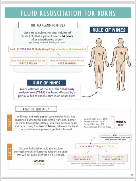 Burn Nursing, Burns Nursing, Nclex Notes, Nursing School Prep, Study Nursing, Nursing School Inspiration, Nursing 101, Medical Notes, Vet Nurse