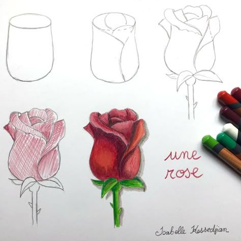 Drawing Roses, Flower Drawing Tutorials, Drawing Eyes, Watercolor Flowers Tutorial, Flower Art Drawing, Rose Drawing, Flower Sketches, Roses Drawing, Floral Drawing