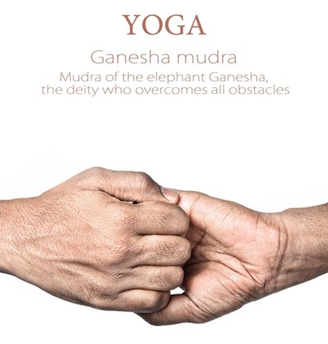 Ganesha mudra ajuda a abrir o chakra do coração e incentiva nossa confiança, coragem, compaixão e abertura. Ganesha mudra, assim como com o próprio Lord Ganesha, ajuda a dissipar o medo, para que possamos alcançar os desejos de nossos corações. Este mudra também encoraja os músculos do tórax a liberar tensão e também pode estimular a atividade do coração e abrir os tubos brônquicos Ganesha Mudra Hands, Healing Mudras, Ganesha Mudra, Mudras Meanings, Yoga Mudra, Hand Mudras, Yoga Handstand, Yoga Poses Advanced, 2 Hands