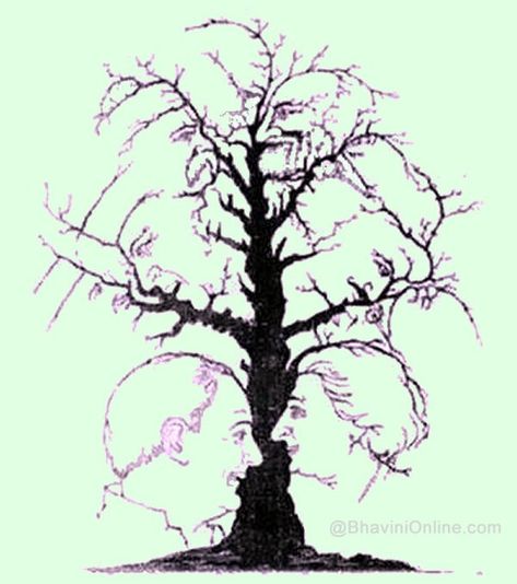 Guess How Many Faces Are There In This Tree | BhaviniOnline.com Face Illusions, Illusion Kunst, Tree Faces, Optical Illusions Art, Face Pictures, Picture Puzzles, Illusion Art, Tree Drawing, Wire Sculpture