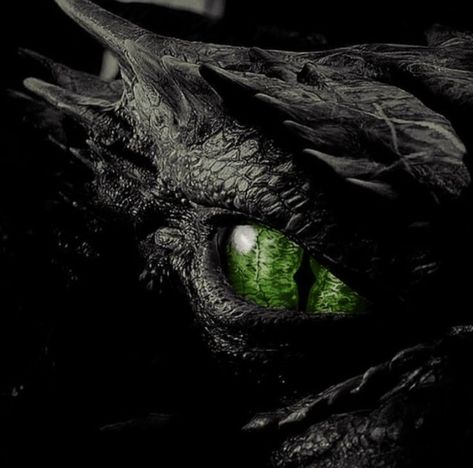 Fantasy Romance Books, Out Of The Dark, Dragon Eye, Green Dragon, House Of Dragons, Black Dragon, Fantasy Romance, Httyd, Dragon Art