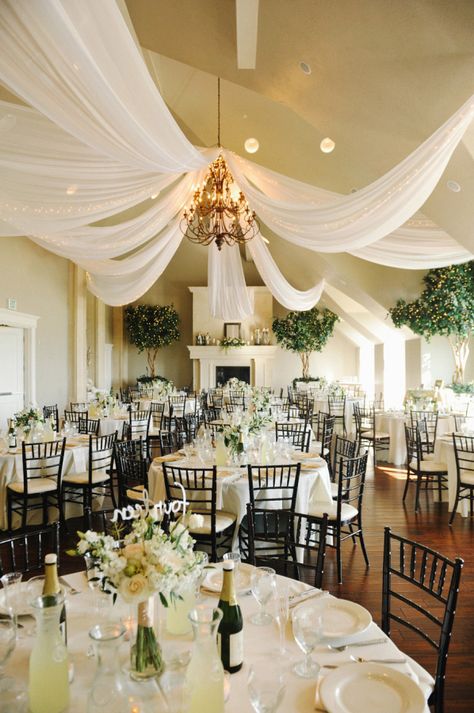 use our site for any color party linens with free shipping both ways. asaplinen.com We post what we have in stock Sheer Backdrop, Wedding Elegant Classy, Swag Party, Ceiling Drapery, Ceiling Drapes, Country Club Reception, Gold Reception, Golf Wedding, Wedding Ceiling