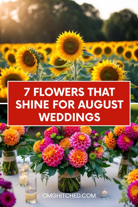 Are you planning a wedding in August? You're in for a treat! Focus on these 7 fabulous flowers that are perfect for your summer celebration. Imagine sunflowers, with their bright yellow petals, lighting up your ceremony. Do you love dahlias? They're not just pretty, they're super versatile for stunning bouquets and centerpieces! Click to discover these floral beauties and elevate your wedding's look. With sentimental favorites and trendy choices, your big day will be unforgettable. Don't miss out—save this pin for later! Summer Flowers For Wedding, July Wedding Flowers In Season, Bright Summer Wedding Flowers, Wedding Flowers August, August Wedding Bouquet, Flowers For August, Flowers In August, August Wedding Flowers, August Weddings