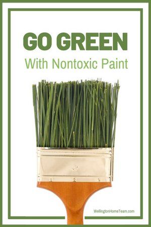 Environmentally Friendly Living, Eco Friendly Diy, Gallon Of Paint, Eco Friendly Art, Earth Pigments, Eco Friendly Paint, Eco Living, Eco Friendly Design, No Waste