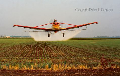 Wilbur Wright, Crop Duster, A10 Warthog, Propeller Plane, Pilot License, Airplane Wallpaper, General Aviation, Farm Equipment, Private Jet