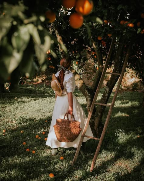 Apple Orchard Photoshoot, Orchard Photoshoot, Cottagecore Photoshoot, Orange Farm, Apple Garden, Citrus Garden, Orange Grove, Fruit Picking, Farm Clothes