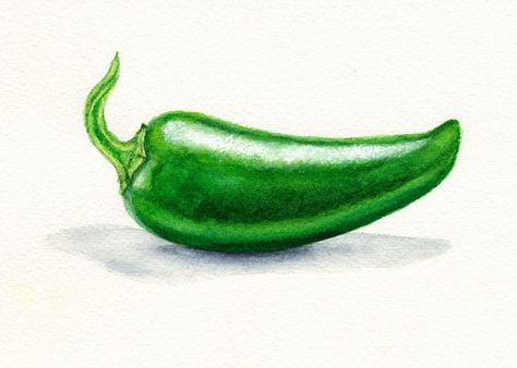 Pepper Watercolor, Wolf Mount, Jalapeno Plant, Plant Watercolor, Traditional Tattoo Old School, Chile Jalapeño, Jalapeno Pepper, Traditional Sleeve, School Wall Art