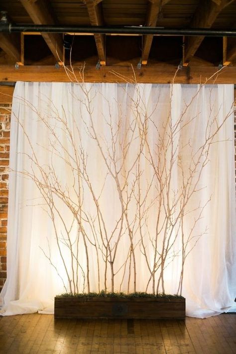 Ceremony Backdrop Tree, Rustic Romance Prom, Ceremony Backdrop Indoor, Tree Branch Wedding, Wedding Branches, Rustic Wedding Backdrops, Wedding Reception Backdrop, Photo Backdrop Wedding, Rustic Backdrop