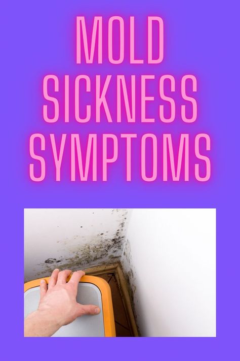 Learn about mold sickness symptoms and how to heal from mold sickness. Healthy Ideas, Chronic Illness, Molding, Healing