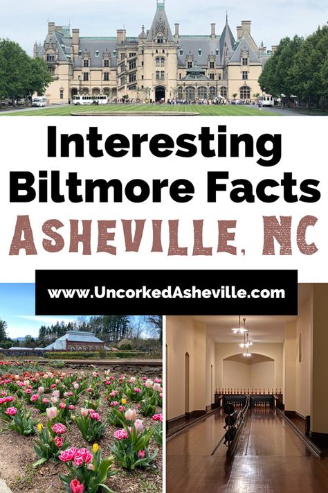 Uncover cool facts about Biltmore Estate in Asheville, NC, including its size, history, and ghosts! Top Facts, North Carolina Attractions, North Carolina Vacations, Cool Facts, Biltmore House, North Carolina Travel, Senior Trip, Biltmore Estate, Asheville Nc