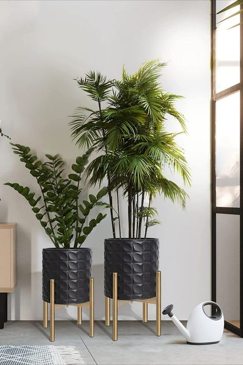 Mid Century Planters, Tall Plant Stand Indoor, Black Plant Stand, Planters For Indoor Plants, Mid Century Modern Plants, Indoor Plant Display, Big Planters, Mid Century Planter, Tall Plant Stands