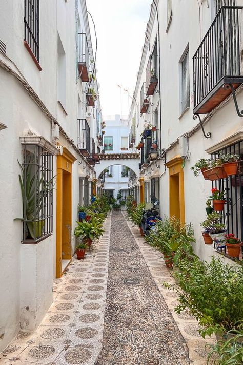 Best things Things to do in Cordoba, Spain #spain #travel Spain Nature Beautiful Places, Spain Scenery, Spain Cities, Things To Do In Cordoba Spain, Spain Streets, Spanish City, Cordoba Spain, Reflecting Pool, Travel Beauty