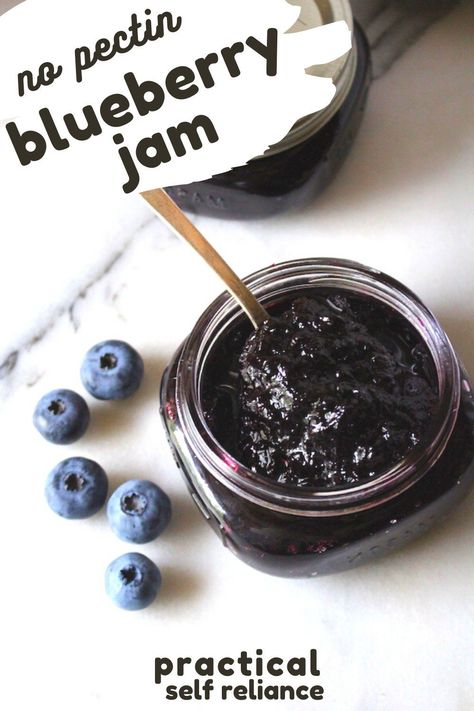 Trad Life, Sure Jell Recipe, Blueberry Freezer Jam, Homestead Food, Preserving Fruit, Homestead Cooking, Fruit Butters, Blueberry Jelly, Blueberry Jam Recipe