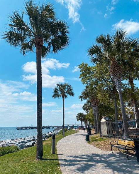 Georgia has so many nice places. This is one of them [Save + Share] 👇🏼 📍St. Simons Island Part of the Golden Islands. Not as big as Jekyll Island but it has its own charm for sure. Fun facts: ▪️The St. Simons Island Lighthouse, built in 1872, is a prominent landmark on the island. It stands at 104 feet tall and is still operational today. ▪️The island has a vibrant arts and culture scene, with numerous galleries, museums and theaters showcasing local talent and history. ▪️Thanks to its sou... Georgia Beaches, St Simons Island Georgia, Jekyll Island Georgia, Saint George Island, Jekyll Island, St Simons Island, St Simons, Nice Places, Arts And Culture