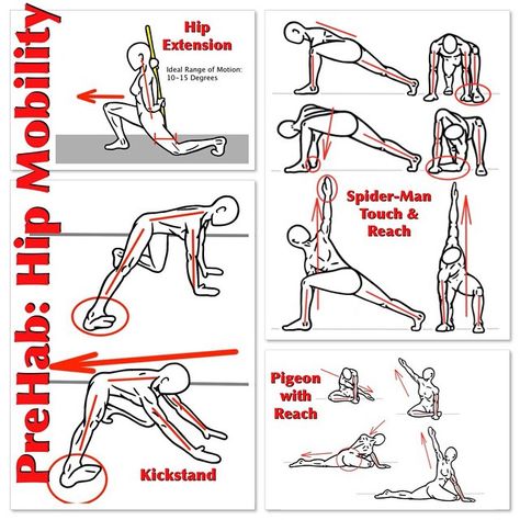 Hip Mobility The Hips are the Prime Movers in Human Movement and maintaining adequate Mobility in all directions of this multi-directional joint will really help make your engine run!  Here is a series of Mobility Exercises for the Hip that will help improve the Range of Motion in all directions, especially if you apply the PNF Stretching Technique of Contract/Relax in each of these exercises.  Start with the Kneeling Lunge to make sure that you can achieve 10 degrees of Hip Extension while main Prehab Exercises, Mobility Movements, Hip Mobility Exercises, Human Movement, Rehabilitation Exercises, Stability Exercises, Hip Mobility, Mobility Exercises, Stretching Exercises