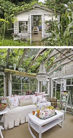 She Shed Diy She Shed, Diy Sheds, Reclaimed Windows, Lots Of Plants, Build Your Own Shed, Storage Shed Plans, Shed Kits, Backyard Office, Greenhouse Plans