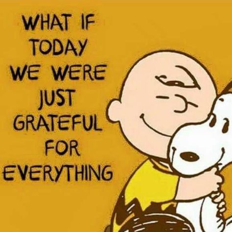 Think every single day what you're grateful for and record it on paper! Peanuts Quotes, Charlie Brown Quotes, Snoopy Funny, Great Inspirational Quotes, Motivation Positive, Peanuts Cartoon, Snoopy Quotes, Funny Inspirational Quotes, Thanksgiving Quotes