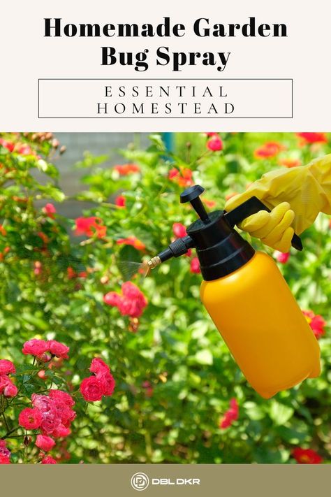 Would you like to repel insects naturally with a homemade garden bug spray? Learn more about this article.#recipes #food #healthyfood #yummy #dbldkr #blogs #lifestyle #blogpost #totallycool Garden Bug Spray, Homemade Garden, Garden Bugs, Diy Sprays, Bug Spray, Insect Repellent, Peppermint Essential Oil, Liquid Soap, Recipes Food