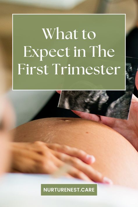 Wondering what to expect in the first trimester? This guide covers common symptoms, body changes, and tips for getting through those first weeks of pregnancy. Perfect for new moms-to-be! First Weeks Of Pregnancy, First Week Of Pregnancy, First Trimester Tips, Weeks Of Pregnancy, Pregnancy First Trimester, Trimesters Of Pregnancy, Pregnancy Symptoms, First Pregnancy, First Trimester