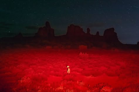 Desert Aesthetic, Cowboy Aesthetic, Space Cowboy, Space Cowboys, Southern Gothic, In The Desert, Red Light, The Desert, Surrealism