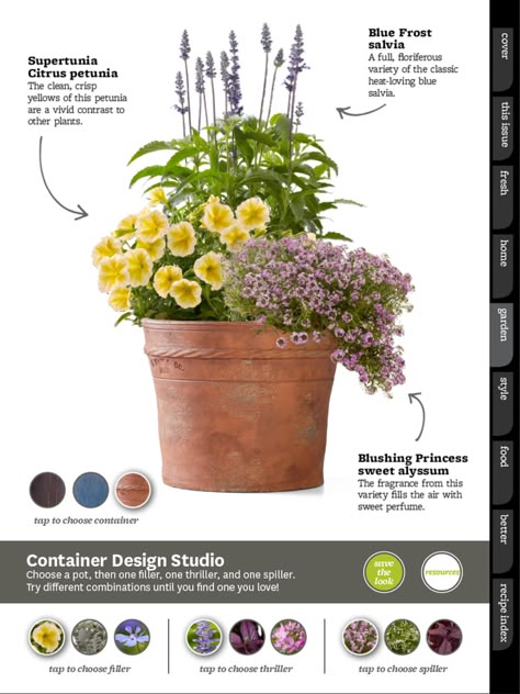 Mecca Landscape, Potted Plants Patio, Patio Flowers, Porch Flowers, Container Garden Design, Potted Plants Outdoor, Container Gardening Flowers, Flower Pots Outdoor, Patio Plants