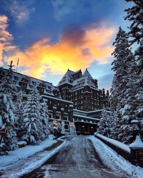 Fairmont Banff Springs on Instagram: “Morning light looks good on the Castle. Wouldn’t you agree? 📷: @borghisarah  #banffsprings #mybanff” Banff Gondola, Banff National Park Canada, Fairmont Banff Springs, Nice Room, Fairmont Banff, Banff Canada, Fairmont Hotel, Canadian Rockies, Mountain Resort