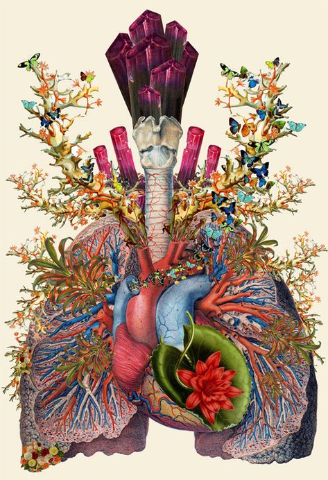 Travis Bedal anatomy fauna flora Travis Bedel, Kunst Collages, Anatomical Art, Art Beat, Medical Art, Wow Art, Art Et Illustration, Mixed Media Artists, Anatomy Art