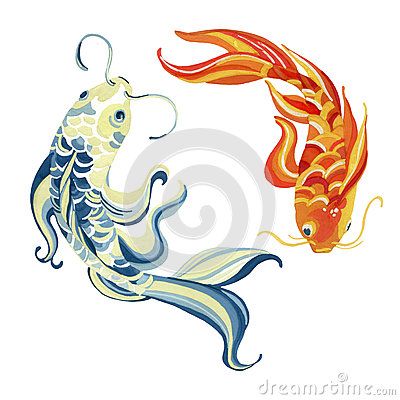 Watercolor asian koi Yin Yang Coy Fish, Koi Fish Colors, Fish Color, Coy Fish, Koi Tattoo, Color Illustration, Paper Patterns, Matte Painting, Koi Fish