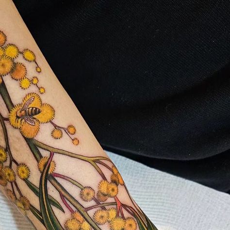 Brittany Kilsby on Instagram: "💛 Golden optimism, Acacia Pycnantha.  Thanks Mark. Huge effort today.  Made @devilsblushstudio   #floraltattoo #flowertattoo #wattletattoo #wattle #colourtattoo #botanicaltattoo #melbournetattoo #australiannativetattoo" Acacia Flower Tattoo, Golden Wattle Tattoo, Wattle Tattoo, Acacia Tattoo, Acacia Pycnantha, Acacia Flower, Le Tattoo, Melbourne Tattoo, Native Tattoos