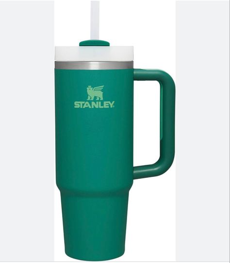 Green Stanley Cup Amazon outdoor water water bottle Green Stanley Cup, Stanley Cup 30 Oz, Green Stanley, Hydration Challenge, Stanley Cups, Drink Containers, Stanley Quencher, 9 Hours, Fun Cup