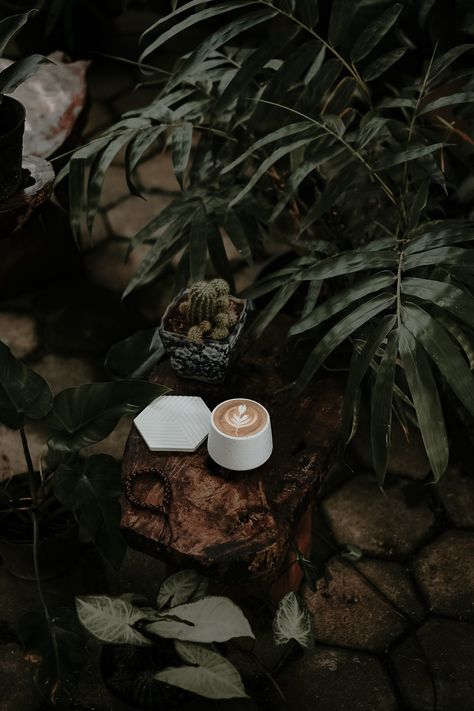 Coffee And Plants Aesthetic, Green Vibe, Painting Coffee, Coffee Shop Photography, Aesthetic Objects, Coffee Shot, Coffee Wallpaper, Coffee Obsession, Coffee Shop Design