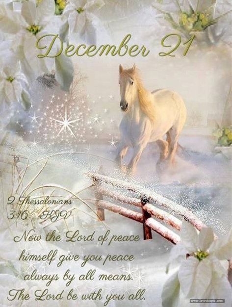 Beautiful Day Quotes, December Scriptures, Christmas Verses, Christmas Scripture, Christmas Bible Verses, Quote Pictures, Good Morning Coffee Images, Merry Christmas Quotes, Christmas Bible