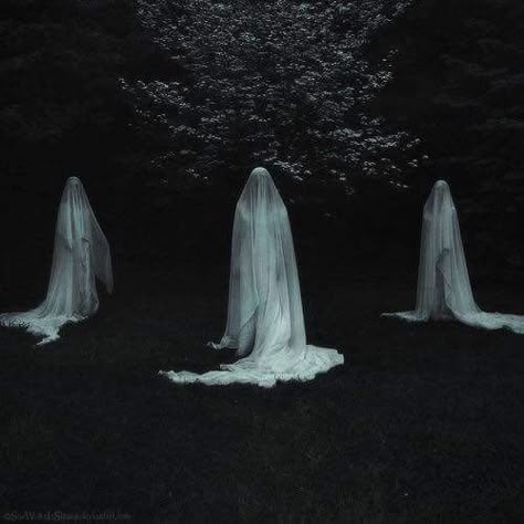 Ethereal Aesthetic Dark, Ethereal Wedding Dress, Ghost Bride, Lady Macbeth, Ethereal Aesthetic, Ethereal Wedding, Witch Aesthetic, Dark Photography, Cthulhu