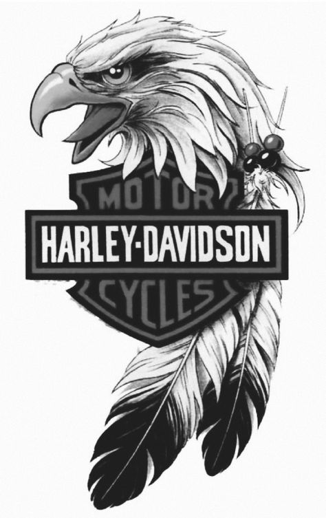 Harley Davidson Tattoo, Harley Davidson Decals, Motorcycle Art Painting, Harley Davidson Painting, Harley Tattoos, Dagobert Duck, Sweet Logo, Harley Davidson Signs, Harley Davidson Tattoos