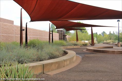 Scottsdale Xeriscape Demonstration Garden: gabions, shade sails, and desert plants Water Catchment, Shade Sails, Natural Playground, Landscape Architects, Office Plants, Water Wise, Desert Plants, Pergola Designs, Shade Sail