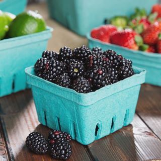 Starting a Home Bakery | How to Start a Home Based Bakery Produce Basket, Party Favor Food, Produce Containers, Produce Baskets, Baked Fruit, Berry Baskets, Food Basket, Blue Cakes, Vanilla Custard