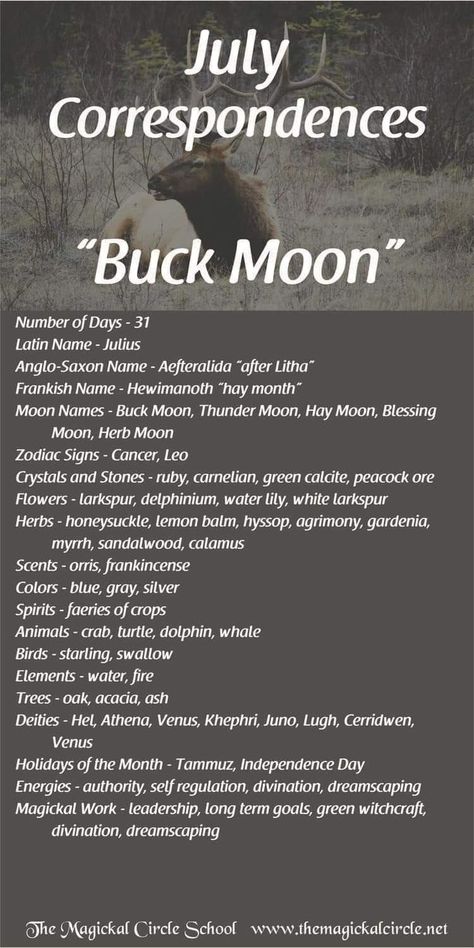 Buck Moon July Correspondences July Correspondences, Monthly Correspondences, Full Buck Moon, Full Moon Names, Buck Moon, Thunder Moon, Moon Zodiac, Moon Meaning, Moon Names