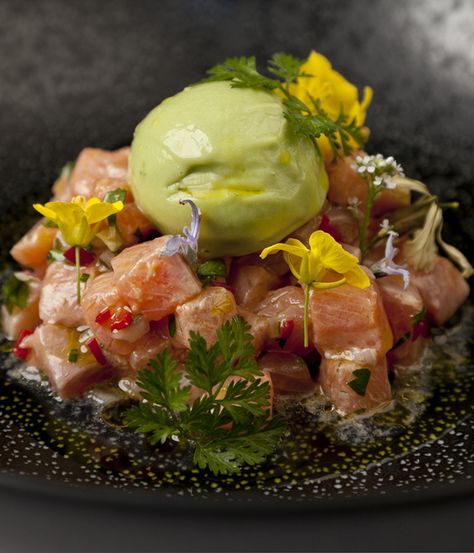 Raw trout and avocado sorbet may seem like a strange combination but this trout ceviche recipe from Galton Blackiston proves that a little adventure in the kitchen can be well rewarded. Trout Ceviche, Recipe With Avocado, Trout Recipes, Ceviche Recipe, Great British Chefs, Avocado Recipes, Great British, Food Presentation, Food Plating