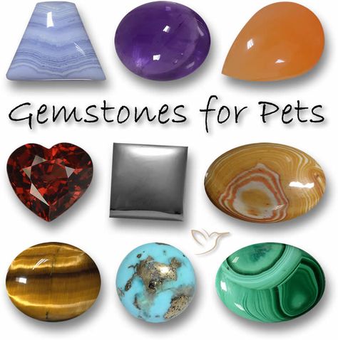 Crystals For Animals, Crystals For Pets, Cat Crystals, Pet Healing, Relaxing Office, Crystals Healing Properties, Rubellite Tourmaline, Crystals Healing, Crystals Stones