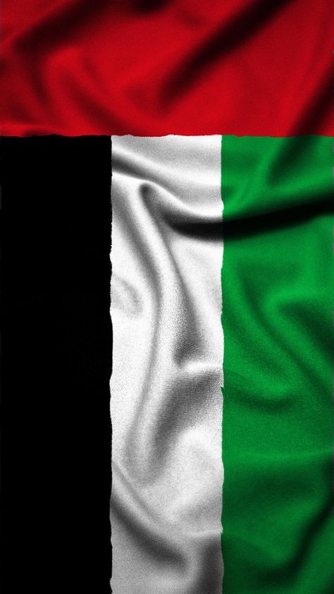 Uae Flag Aesthetic, Emirates Flag, Uae Flag, Aesthetic Collage, Arab Emirates, United Arab Emirates, Dubai, Jam, Flag