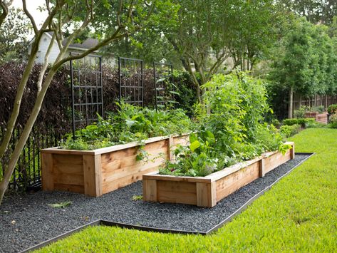 The Best Height for Raised Garden Beds Based on What Plants You Want to Grow • Gardenary Aesthetic Raised Garden Beds, Tiered Raised Garden Beds, Raised Bed Garden Layout, Beautiful Raised Garden Beds, Wood Garden Beds, Backyard Raised Garden, Landscape Beds, Bed Layout, Garden Mesh