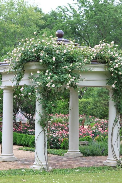 New Dawn Pergola | Read Rhonda at www/thegardenbuzz.com | Rhonda Fleming Hayes | Flickr P Allen Smith, Pergola Swing, Retractable Roof, Pergola Attached To House, Pergola Garden, Garden Vines, Garden Arbor, Backyard Pergola, Garden Gazebo