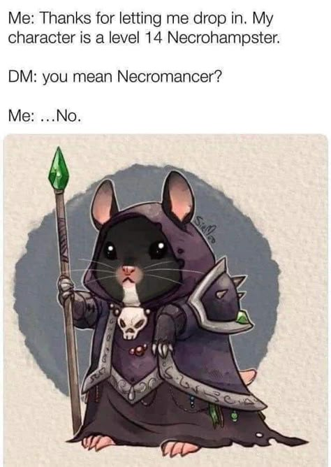 Pf Ideas, Dnd Animals, Bunny Pics, Dnd Npc, Bright Tattoos, Dnd Stories, Dungeons And Dragons Memes, Dragon Memes, Dnd Funny