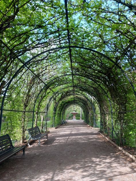 Green arch garden Arch Garden, Green Arch, Green Corridor, Roof Garden, Green Space, Walkway, Garden Arch, Secret Garden, Entrance